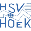 HSV胡克 logo